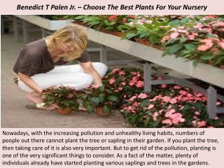 Benedict T Palen Jr. – Choose The Best Plants For Your Nursery