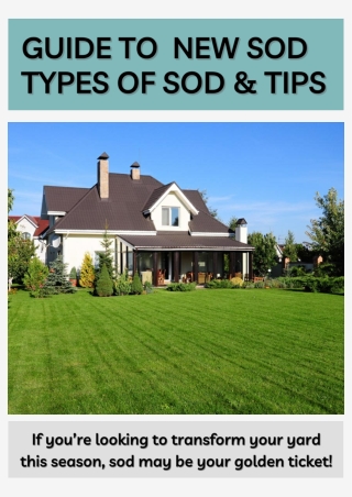 Guide to New Sod Types of Sod and Tips