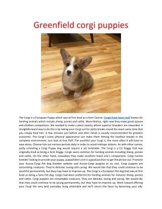 greenfield corgi puppies