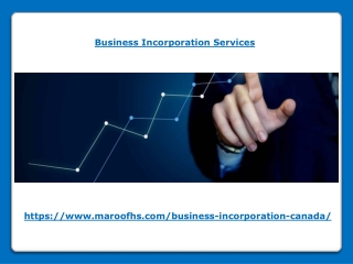 Business Incorporation Services