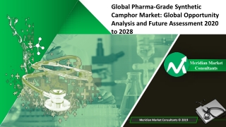 Global Pharma-Grade Synthetic Camphor Market: Global Opportunity Analysis and Fu