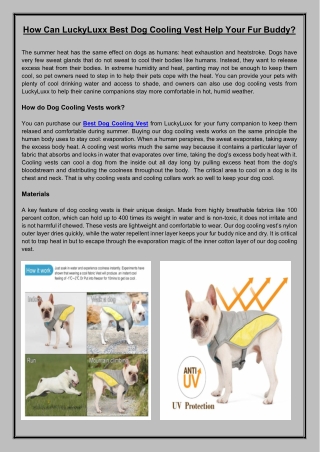 Cooling Vests for Dogs