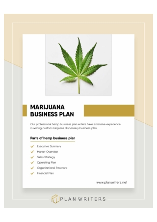 Marijuana Business Plan