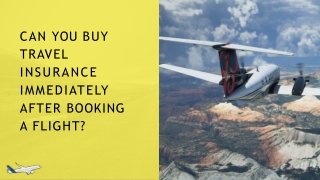 Can You Buy Travel Insurance Immediately After Booking a Flight