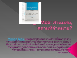 ผู้เชี่ยวชาญของ Visage Max: