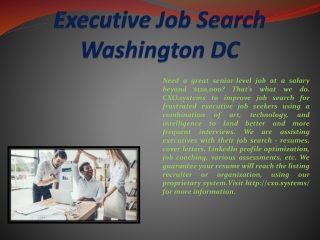 Executive Job Search Washington DC