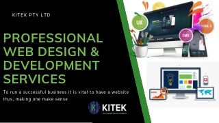 Professional Web design & Development Services