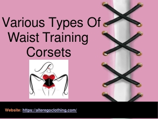Alter Ego Clothing - Various Types of Waist Training  Corsets