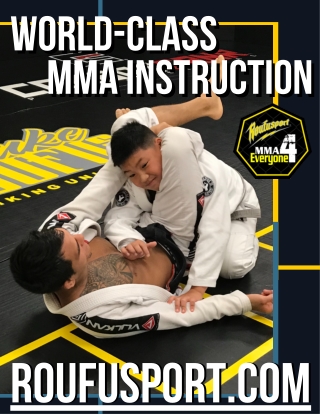 Milwaukee MMA Training and Instruction