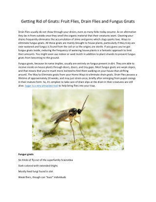 Getting Rid of Gnats