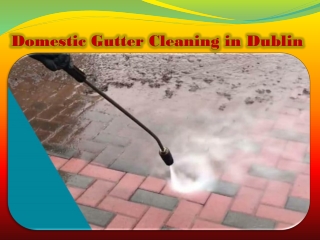 Domestic Gutter Cleaning in Dublin