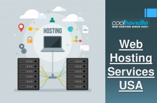Web Hosting  Services USA
