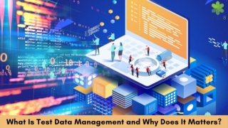What Is Test Data Management and Why Does It Matters?