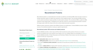recombinant protein