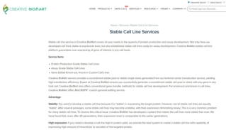 Stable Cell Line Service