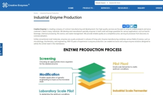 22Enzyme Production