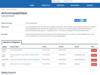 Achromopeptidase