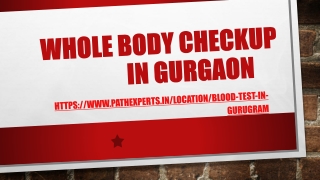 Whole Body Checkup in Gurugram