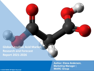 Levulinic Acid Market PDF: Research Report, Upcoming Trends, Demand, Regional