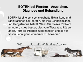 EOTRH bei Pferden - Anzeichen, Diagnose und Behandlung