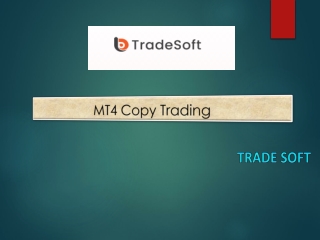 MT4 Copy Trading