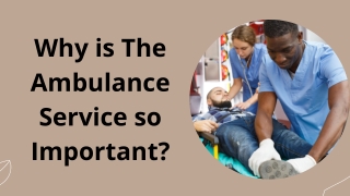 Roles in the ambulance service
