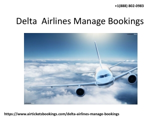 Delta  Airlines flight bookings management