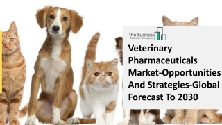 Veterinary Pharmaceuticals Market-Opportunities And Strategies-Global Forecast To 2030