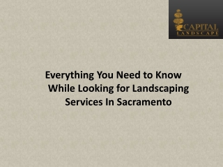 Everything You Need to Know While Looking for Landscaping Services In Sacramento