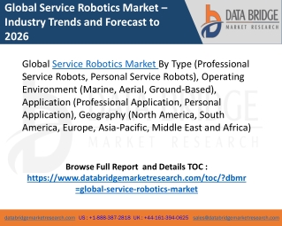 Global Service Robotics Market