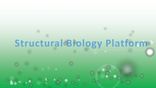 Structural Biology Platform