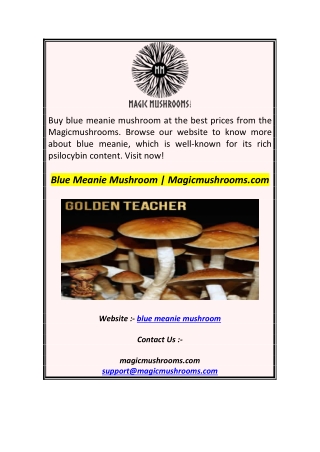 Blue Meanie Mushroom  Magicmushrooms.com