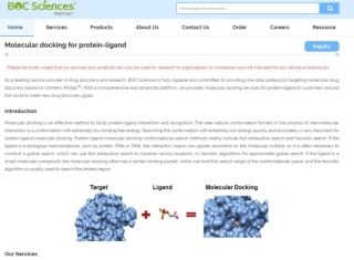 Molecular docking for protein-ligand