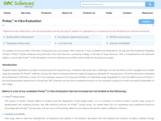 PROTAC In Vitro Evaluation