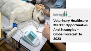 Veterinary Healthcare Market Estimations, Segments, Business Growth
