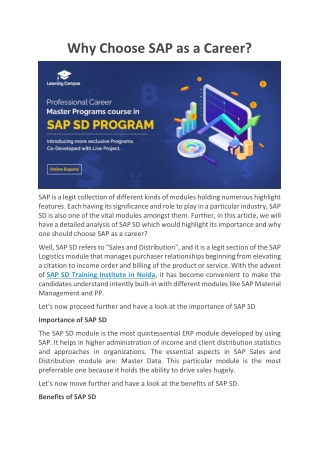 Why Choose SAP as a Career?