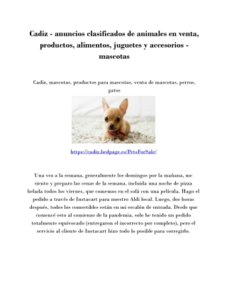 Cadiz - anuncios clasificados de animales en venta, productos, alimentos, juguetes y accesorios - mascotas