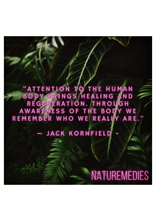 Naturemedies.ca