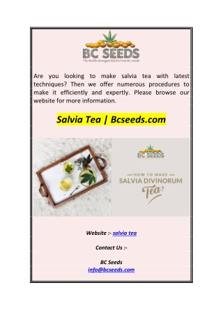 Salvia Tea  Bcseeds.com