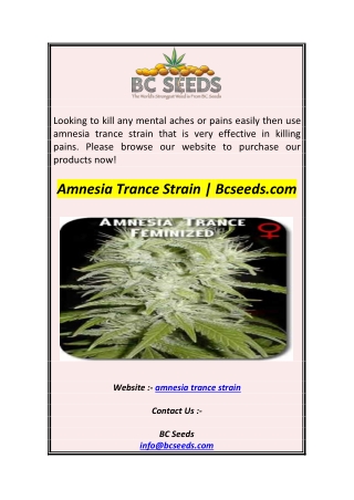 Amnesia Trance Strain  Bcseeds.com
