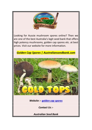 Golden Cap Spores  Australianseedbank.com