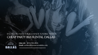 Bachelor Party Thrills Made Possible with a Cheap Party Bus Rental Dallas