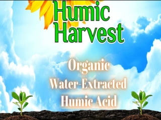 WATER Extracted organic Acid - Humic Harvest