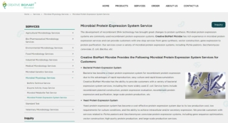 Yeast Protein Expression System