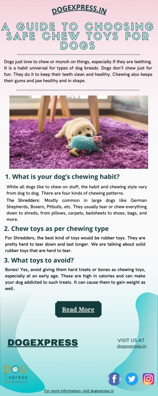 A Guide To Choosing Safe Chew Toys For Dogs