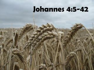 Johannes 4:5-42