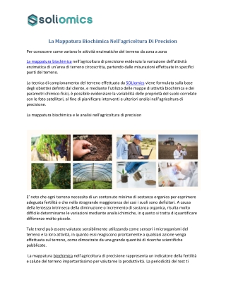 Analisi Terreno Nell'agricoltura Di Precisione - Soliomics
