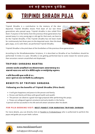 Tripindi Shardh Puja at trimbakeshwar Temple