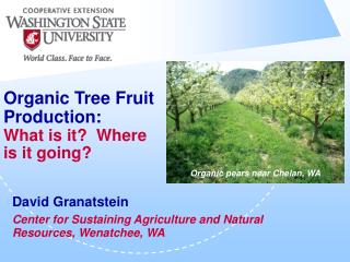 Organic Tree Fruit Production: What is it? Where is it going?