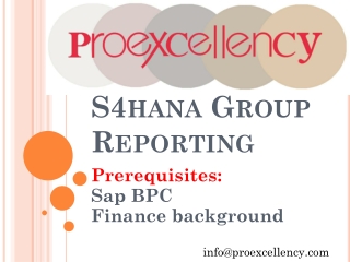 Proexcellency Provides S4HANA Group Reporting Online Training